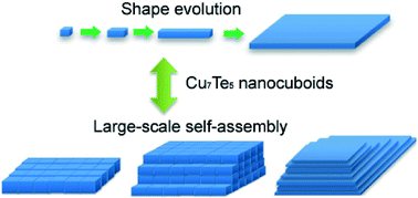 Graphical abstract: P-type Cu7Te5 single-crystalline nanocuboids: size-controlled synthesis and large-scale self-assembly