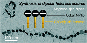 Graphical abstract: Synthesis of ferromagnetic cobalt nanoparticle tipped CdSe@CdS nanorods: critical role of Pt-activation