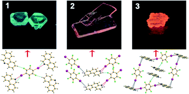 Graphical abstract: The phosphorescent co-crystals of 1,4-diiodotetrafluorobenzene and bent 3-ring-N-heterocyclic hydrocarbons by C–I⋯N and C–I⋯π halogen bonds