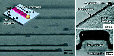 Graphical abstract: Lateral epitaxial growth of faceted SnO2 nanowires with self-alignment