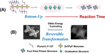 Graphical abstract: Homogenous four-petal flower structure formation from metalloporphyrin self-assembly and its reversible transformation into an octahedron structure