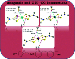 Graphical abstract: Intermolecular anagostic interactions in group 10 metal dithiocarbamates