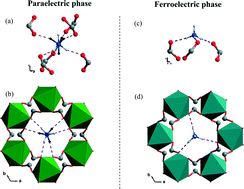 Graphical abstract: Elastic properties and acoustic dissipation associated with a disorder–order ferroelectric transition in a metal–organic framework