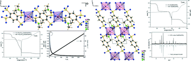 Graphical abstract: 1,2,4,5-Benzenetetrasulfonic acid and 1,4-benzenedisulfonic acid as sulfo analogues of pyromellitic and terephthalic acids for building coordination polymers of manganese