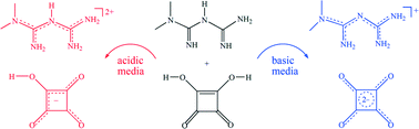 Graphical abstract: Biguanide and squaric acid as pH-dependent building blocks in crystal engineering