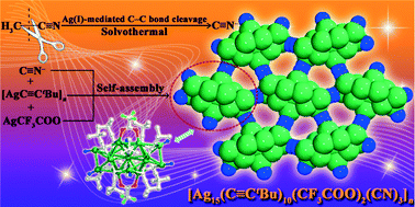 Graphical abstract: Ag(i)-mediated formation of a 2D cyano-bridged multinuclear silver(i) alkynyl network coupled with the C–C bond cleavage of acetonitrile