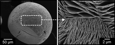 Graphical abstract: Biomimetic synthesis of nanostructured SnO particles from Sn6O4(OH)4 in aqueous solution of gelatin