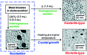 Graphical abstract: Well-controlled synthesis of wurtzite-type Cu2ZnSnS4 nanoparticles using multiple sulfur sources via a two-step heating process