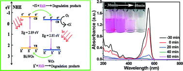 Graphical abstract: Synthesis of one-dimensional WO3–Bi2WO6 heterojunctions with enhanced photocatalytic activity