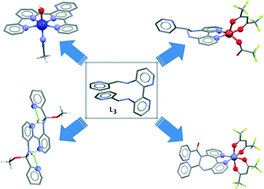 Graphical abstract: Probing the reactivity of a 2,2′-bipyridyl-3,3′-bis-imine ligand by X-ray crystallography