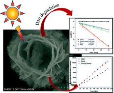 Graphical abstract: Self-assembled hierarchical nanostructures of Bi2WO6 for hydrogen production and dye degradation under solar light