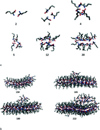 Graphical abstract: From oligomers towards a racemic crystal: molecular simulation of dl-norleucine crystal nucleation from solution