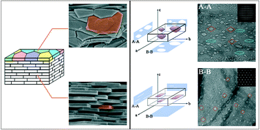 Graphical abstract: Nanostructured individual nacre tablet: a subtle designed organic–inorganic composite