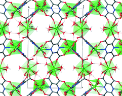 Graphical abstract: Complex three-dimensional lanthanide metal–organic frameworks with variable coordination spheres based on pyrazine-2,3,5,6-tetracarboxylate