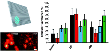 Graphical abstract: Choosing dyes for cw-STED nanoscopy using self-assembled nanorulers