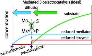 Graphical abstract: Characteristics of fast mediated bioelectrocatalytic reaction near microelectrodes