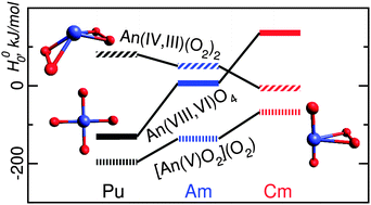 Graphical abstract: Structures and stability of AnO4 isomers, An = Pu, Am, and Cm: a relativistic density functional study