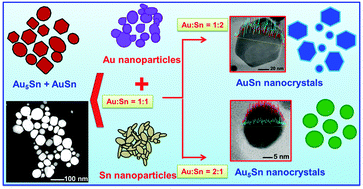 Graphical abstract: From (Au5Sn + AuSn) physical mixture to phase pure AuSn and Au5Sn intermetallic nanocrystals with tailored morphology: digestive ripening assisted approach
