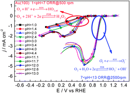Graphical abstract: Mechanistic and kinetic implications on the ORR on a Au(100) electrode: pH, temperature and H–D kinetic isotope effects