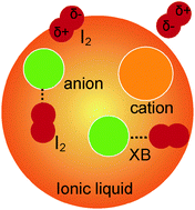 Graphical abstract: Investigation of ionic liquids for efficient removal and reliable storage of radioactive iodine: a halogen-bonding case