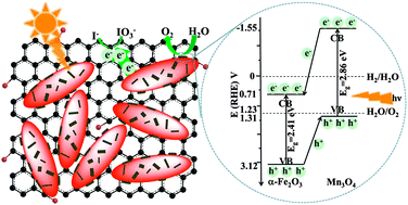 Graphical abstract: Synergistic contributions by decreasing overpotential and enhancing charge-transfer in α-Fe2O3/Mn3O4/graphene catalysts with heterostructures for photocatalytic water oxidation
