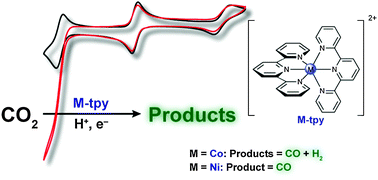 Graphical abstract: Terpyridine complexes of first row transition metals and electrochemical reduction of CO2 to CO