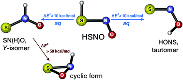 Graphical abstract: On the possible biological relevance of HSNO isomers: a computational investigation