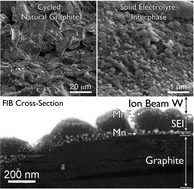 Graphical abstract: Unraveling manganese dissolution/deposition mechanisms on the negative electrode in lithium ion batteries