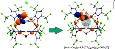 Graphical abstract: A study on the versatility of metallacycles in host–guest chemistry: Interactions in halide-centered hexanuclear copper(ii) pyrazolate complexes