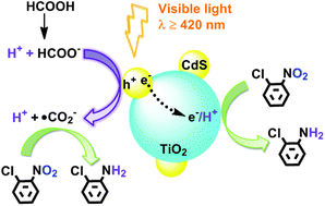 Graphical abstract: Photocatalytic reduction of o-chloronitrobenzene under visible light irradiation over CdS quantum dot sensitized TiO2