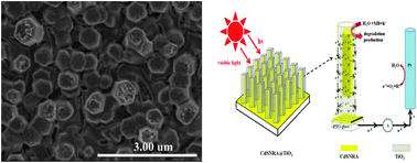 Graphical abstract: CdS nanorod arrays with TiO2 nano-coating for improved photostability and photocatalytic activity