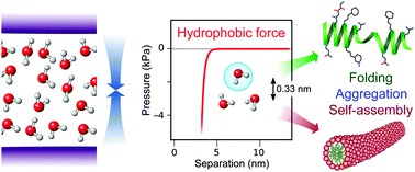 Graphical abstract: The hydrophobic force: measurements and methods