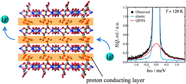 Graphical abstract: Proton dynamics of two-dimensional oxalate-bridged coordination polymers