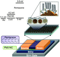 Graphical abstract: Probing surface states in PbS nanocrystal films using pentacene field effect transistors: controlling carrier concentration and charge transport in pentacene