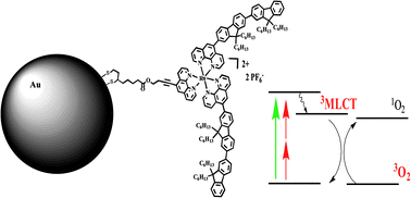 Graphical abstract: A 5-(difluorenyl)-1,10-phenanthroline-based Ru(ii) complex as a coating agent for potential multifunctional gold nanoparticles