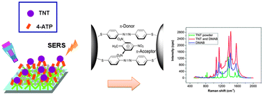 Graphical abstract: ZnO–Ag hybrids for ultrasensitive detection of trinitrotoluene by surface-enhanced Raman spectroscopy