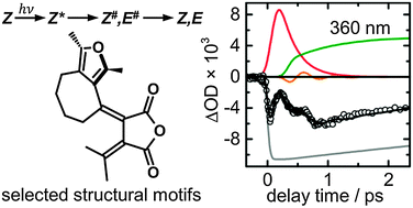 Graphical abstract: Ultrafast Z → E photoisomerisation of structurally modified furylfulgides