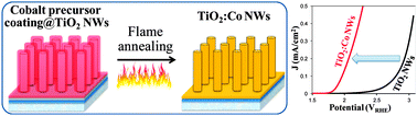 Graphical abstract: Sol-flame synthesis of cobalt-doped TiO2 nanowires with enhanced electrocatalytic activity for oxygen evolution reaction