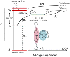 Graphical abstract: How disorder controls the kinetics of triplet charge recombination in semiconducting organic polymer photovoltaics