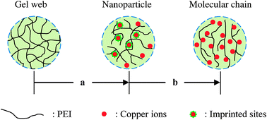 Graphical abstract: Synthesis and investigation of the imprinting efficiency of ion imprinted nanoparticles for recognizing copper