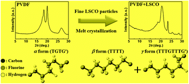 Graphical abstract: Poly(vinylidene fluoride)–La0.5Sr0.5CoO3−δ composites: the influence of LSCO particle size on the structure and dielectric properties