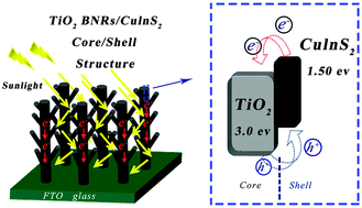 Graphical abstract: Hierarchical TiO2–CuInS2 core–shell nanoarrays for photoelectrochemical water splitting