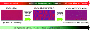Graphical abstract: Hydrophobic interactions leading to a complex interplay between bioelectrocatalytic properties and multilayer meso-organization in layer-by-layer assemblies