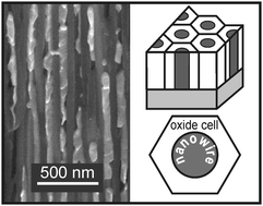 Graphical abstract: Melting temperature of metal polycrystalline nanowires electrochemically deposited into the pores of anodic aluminum oxide