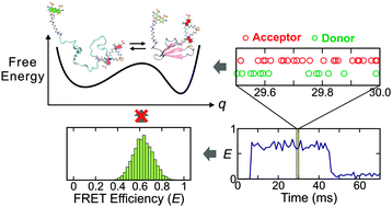 Graphical abstract: Fast single-molecule FRET spectroscopy: theory and experiment