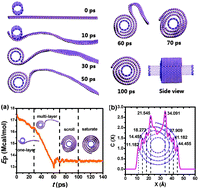 Graphical abstract: Boron-nitride nanotube triggered self-assembly of hexagonal boron-nitride nanostructure