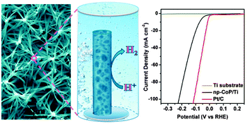 Graphical abstract: Three-dimensional interconnected network of nanoporous CoP nanowires as an efficient hydrogen evolution cathode
