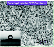 Graphical abstract: Superhydrophobic Ag nanostructures on polyaniline membranes with strong SERS enhancement