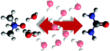 Graphical abstract: Water-mediated interactions between trimethylamine-N-oxide and urea