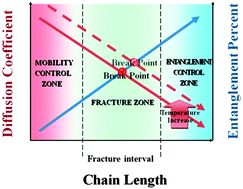 Graphical abstract: Fracture mechanism of amorphous polymers at strain fields